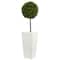 3.5ft. Boxwood Ball Topiary Tree in White Tower Planter